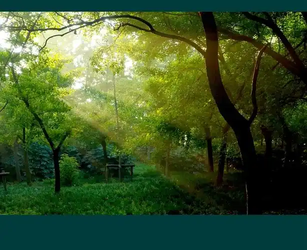 【晨曦摄影图片】风光摄影_太平洋电脑网摄影部落