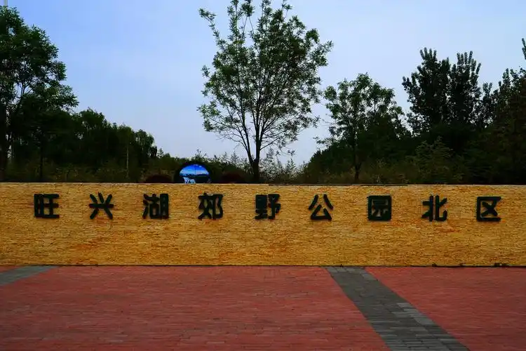 旺兴湖郊野公园北区 - 超级走动的蚂蚁小哥 - 图虫