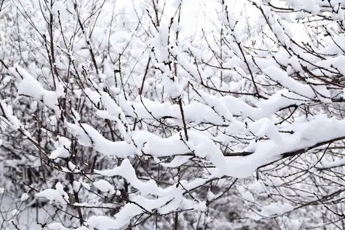 邂逅漫天飞舞的雪花,体会白雪皑皑的浪漫,我完全沉浸在雪的王国,遇到