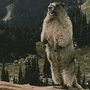 东风快速路北段列入明年投资计划