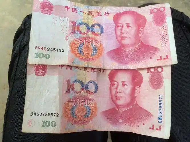 是不是有一张是假币啊,怎么图案不一样