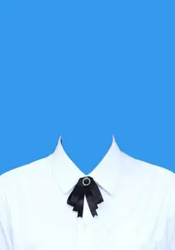 证件照白色衬衫设计图__其他_psd分层素材_设计图库_昵图网nipic.com