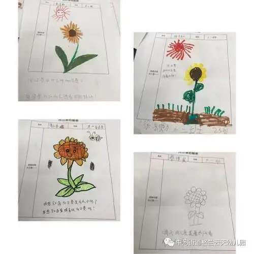 向日葵的秘密——大二班课程故事