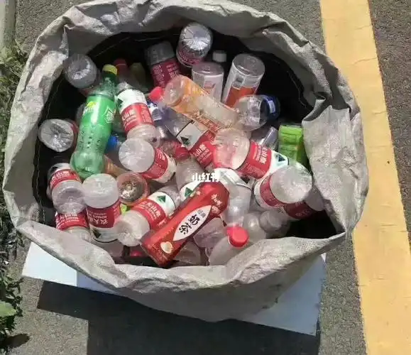 今天一大早就出门捡瓶子了