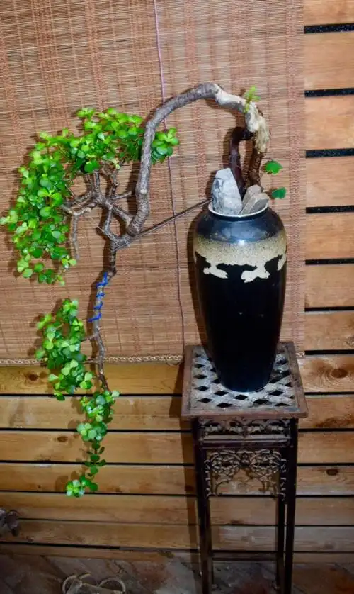 酒瓶盆景的高超技艺,令人赞不绝口!