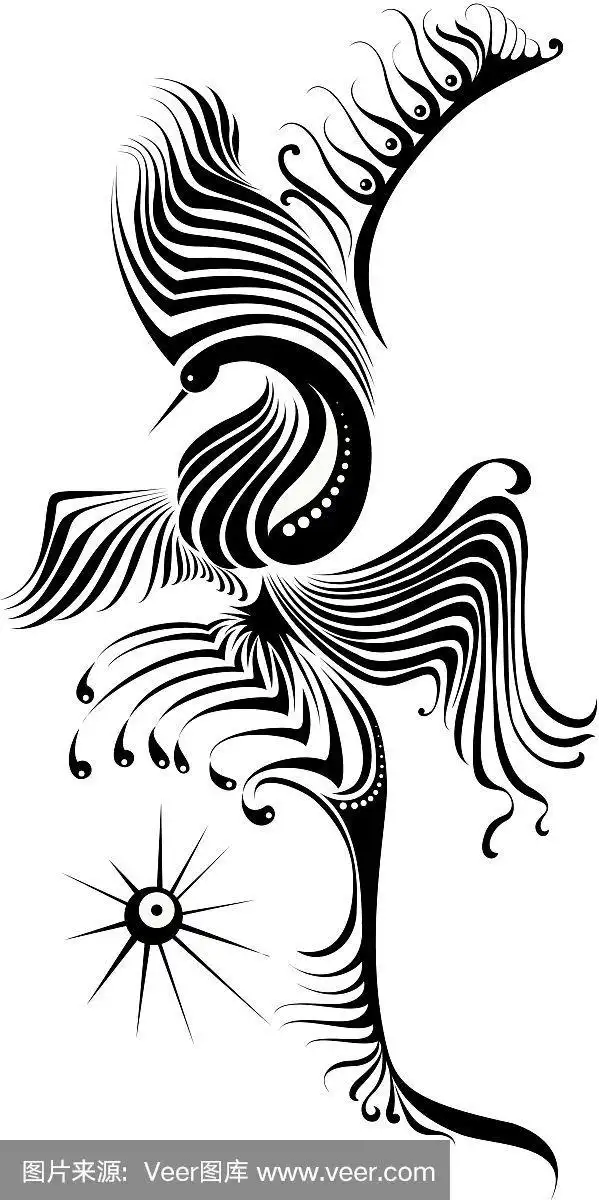 一只黑白相间的凤凰