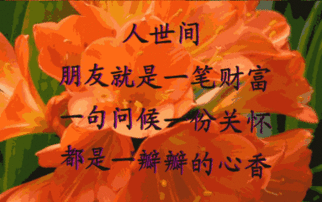 美丽的早安动态祝福图片,每天一句温馨的问候