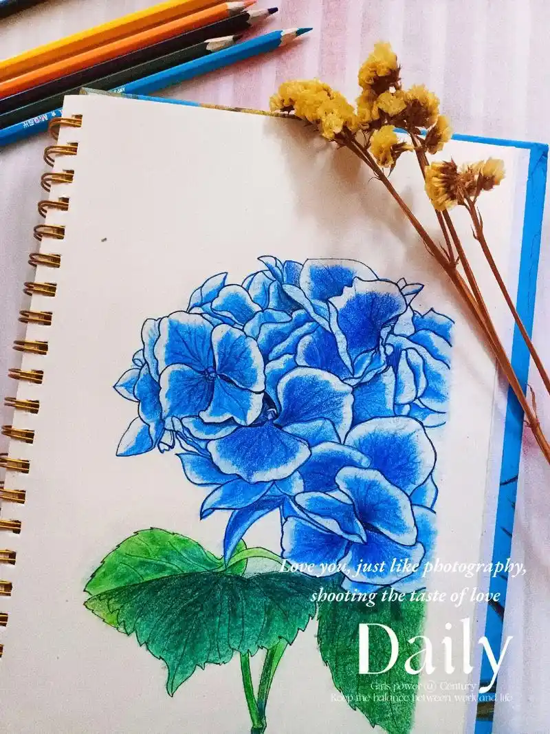 彩铅手绘 绣球(无尽夏)#创作灵感 天气不好,那就换个心情  - 抖音