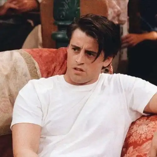 老友记的joey颜值算什么水平