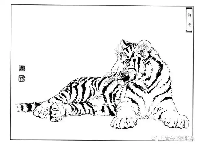老虎白描图谱