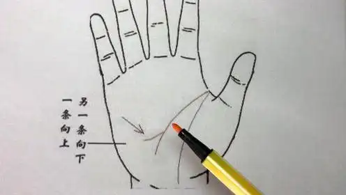 智慧线分叉,说明能够赚钱,属于最旺财的手相之一,财富积累特别快