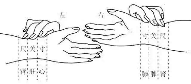 滑脉一定是怀孕了?把脉能知道怀的是男孩女孩,是真的吗?