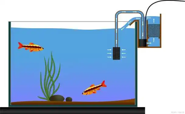 答案是肯定的.以下是自制水循环鱼缸的简易步骤.