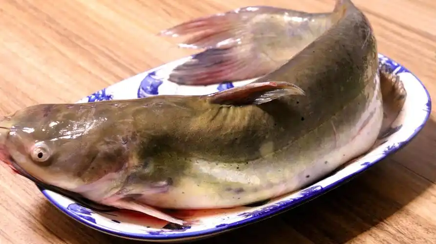 清江鱼怎么做好吃