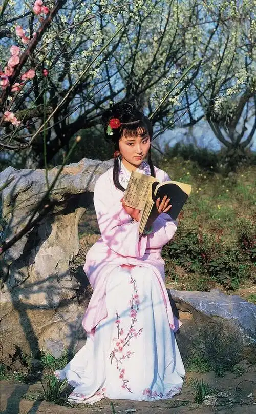 视频|詹丹:林黛玉到底有多爱书?