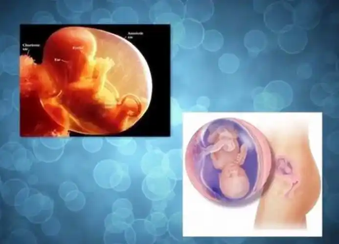 如果孕期是33周而b超上显示35周,那么说明胎儿有些偏大,不过孕妈妈也