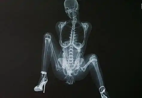 图片上的骷髅模特并不是真人,她们只是电脑制作出的拟真图像.