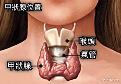 甲状腺疾病因为不了解才觉得可怕
