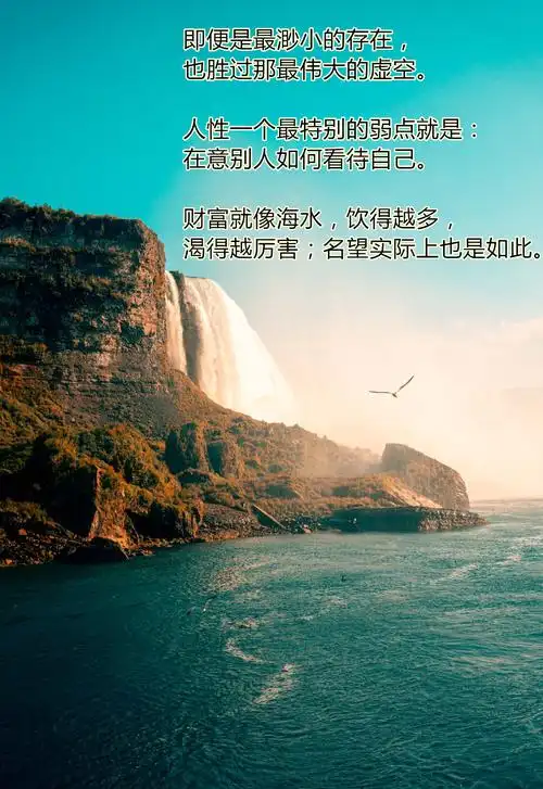 叔本华被誉为人类发展中闪耀的恒星,他这20句哲理名言,道理深刻_哲学