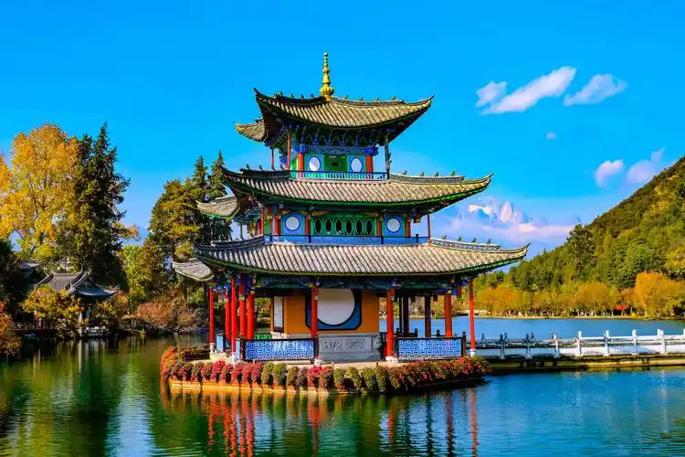 丽江radio新春走基层话龙送福龙随春光归于此黑龙潭内来相会