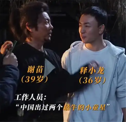 《目中无人》系列,对标"黄飞鸿"系列,谢苗终于可以接班李连杰_电影