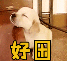 好困gif困gif想睡觉gif