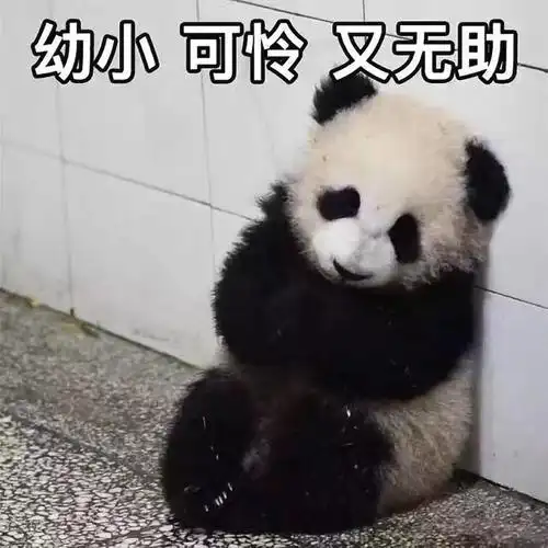 幼小 可怜 又无助(大熊猫)_幼小_无助_大熊猫_可怜表情