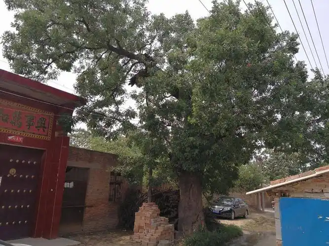 重返家乡—古焦国遗址地村落——河南灵宝冯佐村!2017.8.