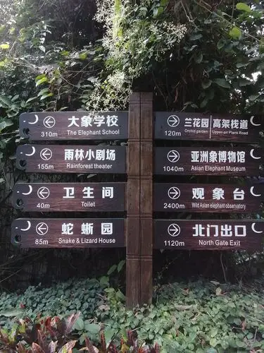 其它 野象谷探秘 写美篇  午餐后,当地导游带我们探险旅游的步行道,沿