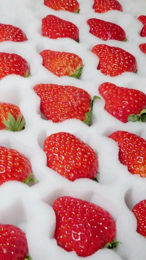 高清唯美壁纸小清新草莓壁纸