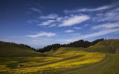 新疆塔里木盆地风景图片 - 第6张