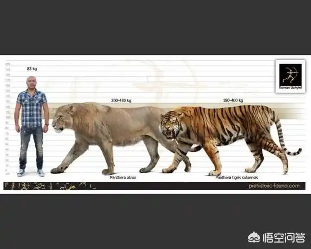 更新世虎与洞狮谁厉害?