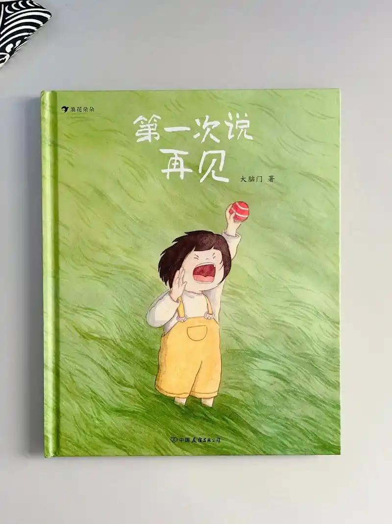 第一次说再见:给离别和失去的心灵温柔一抱.书籍:《第 一次说 - 抖音