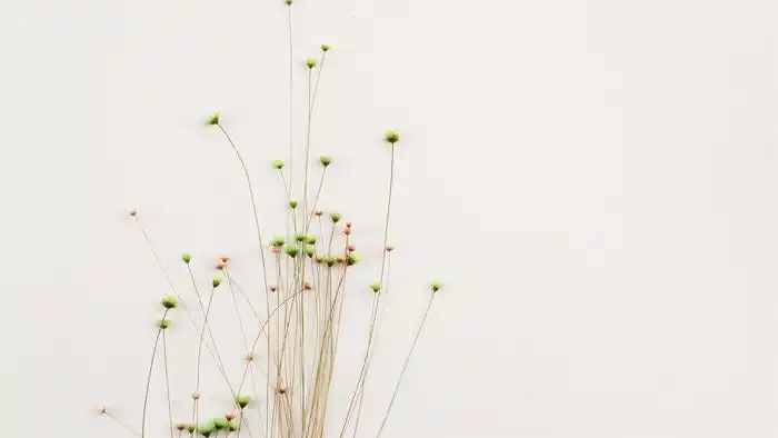 六张简约清新花束ppt背景图片