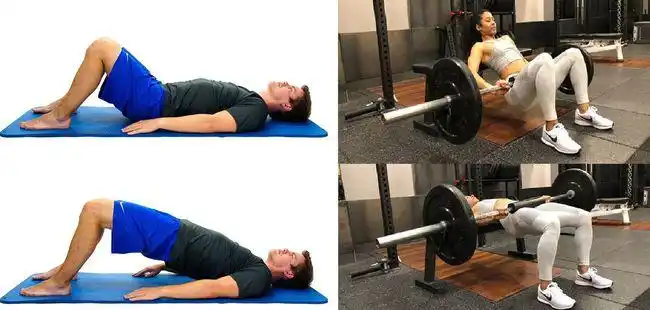 臀桥vs臀推,哪种训练更适合你|杠铃|髋关节|哑铃|肌肉|深蹲_网易订阅