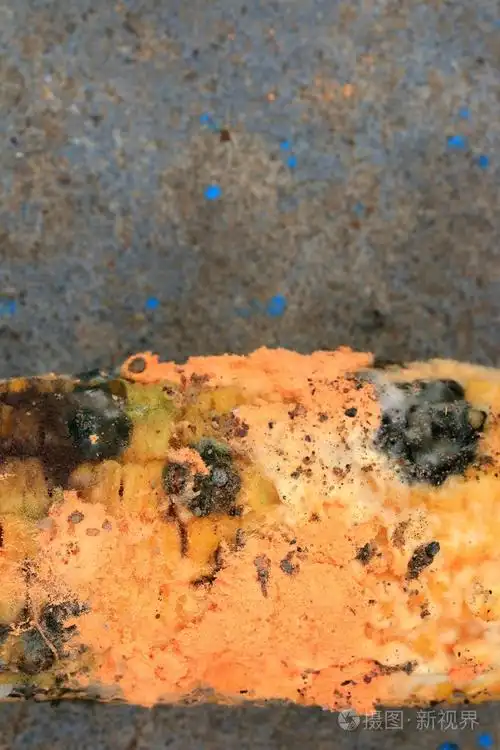 腐烂玉米的橙色发霉