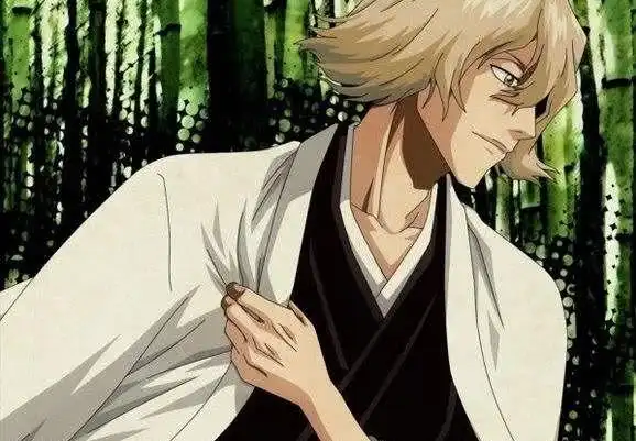 与四枫院夜一以及流魂街的烟火师志波空鹤是熟交.