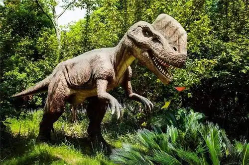 英雄集结,王者之战!dinosaur run恐龙王者荣耀之丛林探索