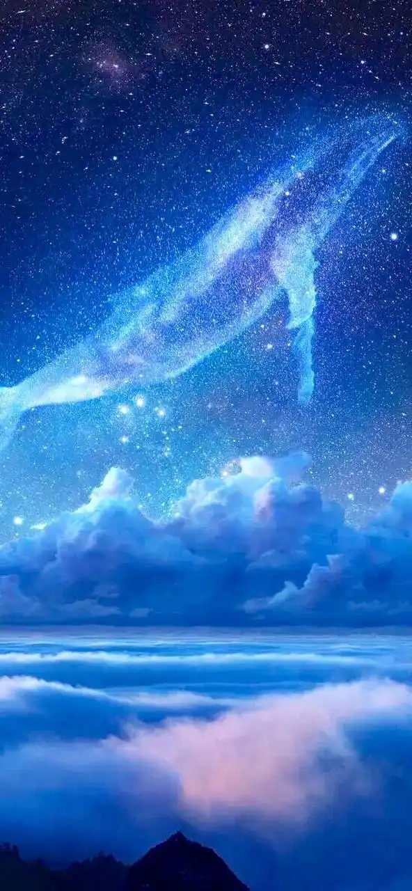 鲸鱼星空壁纸