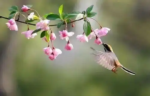 关于心灵美的散文400(关于心灵美的散文) _晶羽科技