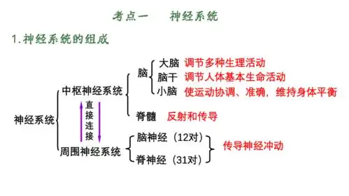 100%新用户扫码免费下载3/ 34共1份资料开通校网通-资料免费下-立即