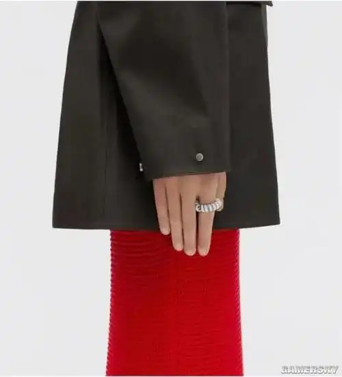 奢侈品牌推出天价项链 网友:你当我没见过电话线?