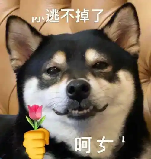 可爱实用表情包:过来给我亲一下_公众_il_熊猫头