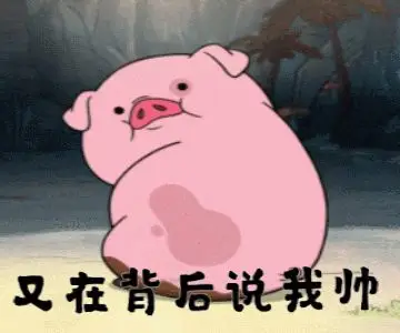 猪的段子和搞笑动图表情包(16图)