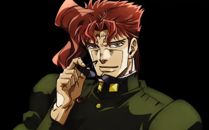 花京院典明 jojo的奇妙冒险