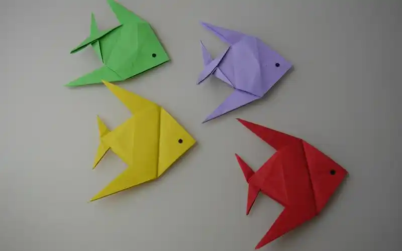 活动  折纸:热带鱼