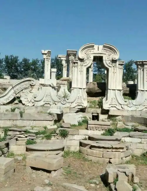 只为看牡丹.再去圆明园