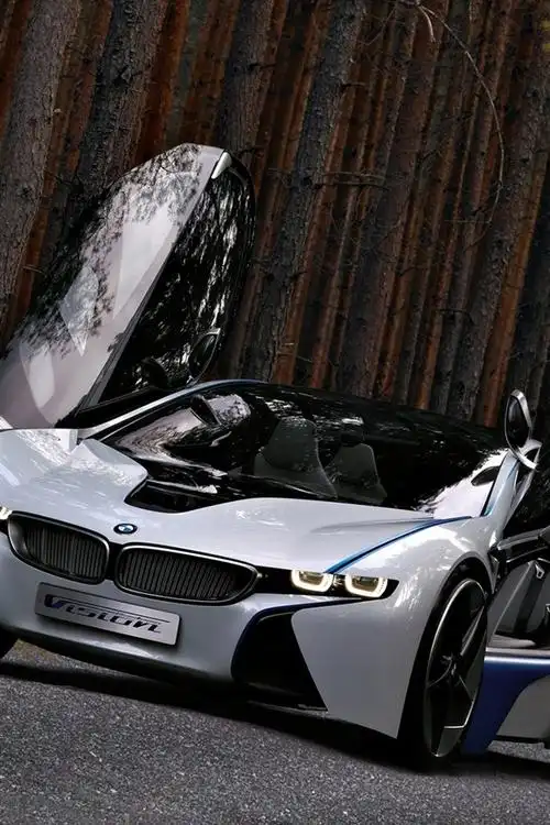 壁纸 宝马概念车,漂亮,翅膀 1920x1440 hd 高清壁纸, 图片, 照片