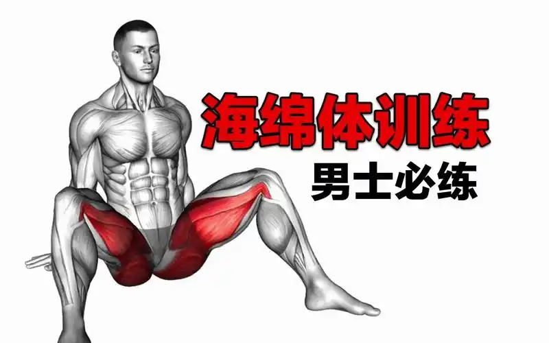 海绵体脱敏训练,每天一遍,持续提升战斗力