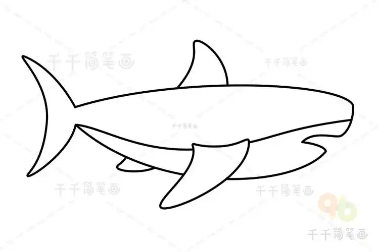 巨齿鲨简笔画